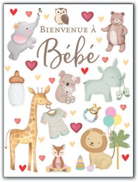 CARNET MAXI A4 – naissance