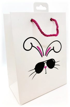 SAC KDO PÂQUES COOL BUNNY M 17x09x22.5cm