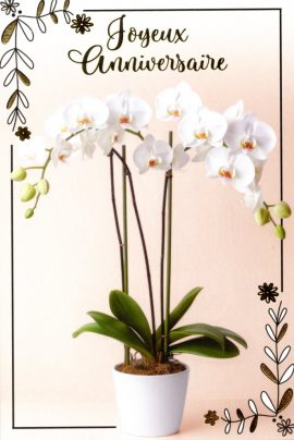 CARNET ANNIVERSAIRE FEMME