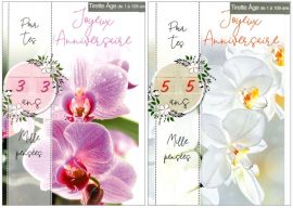 CARNET ANNIVERSAIRE FEMME – tirette