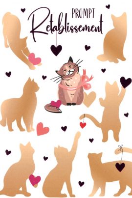 CARNET PROMPT RÉTABLISSEMENT