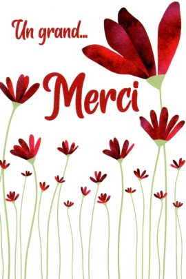 CARNET MERCI