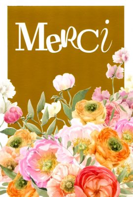 CARNET MERCI