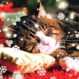 CARNET DOUBLE QM SANS TEXTE 12 x 12 cm – FIN D’ANNEE + Enveloppe