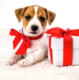 CARNET DOUBLE QM SANS TEXTE 12 x 12 cm – FIN D’ANNEE + Enveloppe