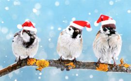 CARNET DOUBLE MD SANS TEXTE 13,5 x 8,5 cm – FIN D’ANNEE + Enveloppe