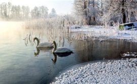 CARNET DOUBLE MD SANS TEXTE 13,5 x 8,5 cm – FIN D’ANNEE + Enveloppe