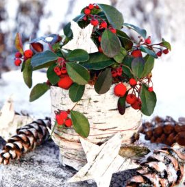 CARNET DOUBLE QM SANS TEXTE 12 x 12 cm – FIN D’ANNEE + Enveloppe