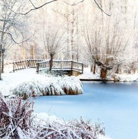 CARNET DOUBLE QM SANS TEXTE 12 x 12 cm – FIN D’ANNEE + Enveloppe