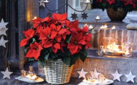 CARNET DOUBLE MD SANS TEXTE 13,5 x 8,5 cm – FIN D’ANNEE + Enveloppe