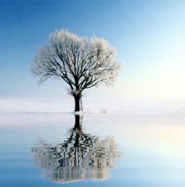 CARNET DOUBLE QM SANS TEXTE 12 x 12 cm – FIN D’ANNEE + Enveloppe