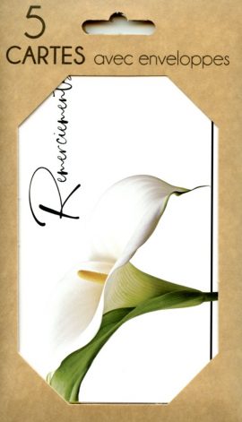 POCHETTE REMERCIEMENTS DEUIL x 5