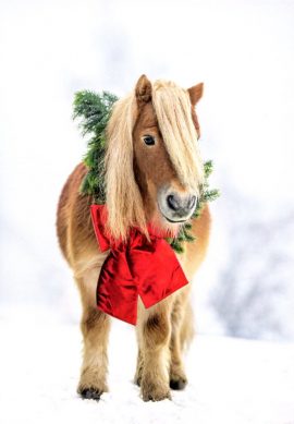 CARNET DOUBLE SANS TEXTE 12x17cm – FIN D’ANNEE + Enveloppe