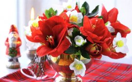 CARNET DOUBLE MD SANS TEXTE 13,5 x 8,5 cm – FIN D’ANNEE + Enveloppe