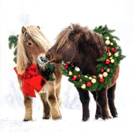 CARNET DOUBLE Q SANS TEXTE 15 x 15 cm – FIN D’ANNEE + Enveloppe