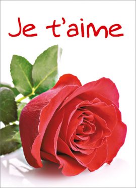 CARNET AVEC TEXTE – Ft 6 x 8,3 cm + ENVELOPPE