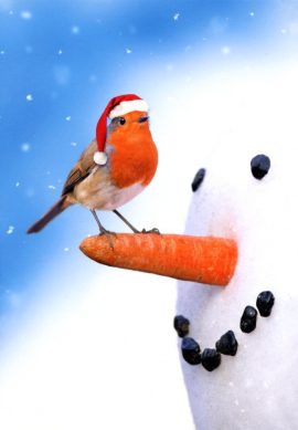 CARNET DOUBLE SANS TEXTE 12x17cm – FIN D’ANNEE + Enveloppe