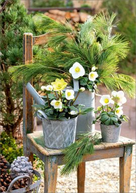 CARNET DOUBLE SANS TEXTE 12x17cm – HIVER + Enveloppe