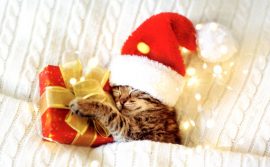 CARNET DOUBLE MD SANS TEXTE 13,5 x 8,5 cm – FIN D’ANNEE + Enveloppe