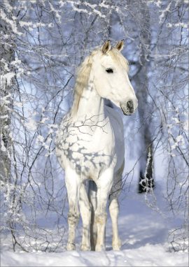 CARNET DOUBLE SANS TEXTE 12x17cm – HIVER + Enveloppe