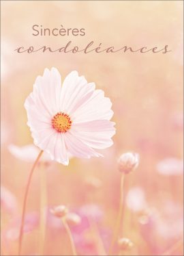 CARNET AVEC TEXTE – Ft 6 x 8,3 cm + ENVELOPPE