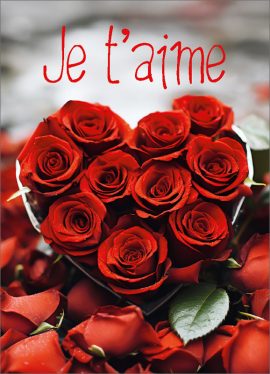 CARNET AVEC TEXTE – Ft 6 x 8,3 cm + ENVELOPPE