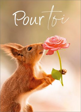 CARNET AVEC TEXTE – Ft 6 x 8,3 cm + ENVELOPPE