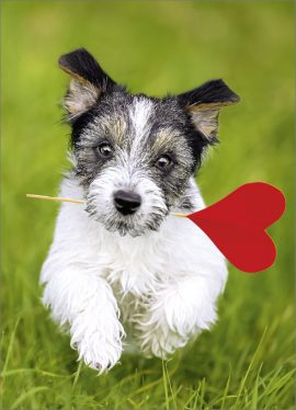 CARNET SANS TEXTE – Ft 6 x 8,3 cm + ENVELOPPE