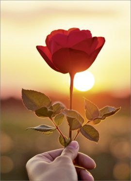 CARNET SANS TEXTE – Ft 6 x 8,3 cm + ENVELOPPE