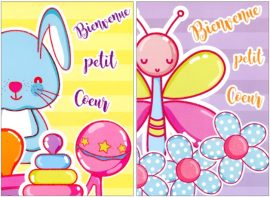 CARNET NAISSANCE