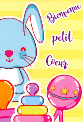 CARNET NAISSANCE