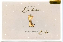 CARNET NAISSANCE porte-billet