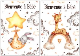 CARNET NAISSANCE