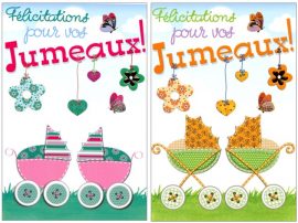 CARNET NAISSANCE JUMEAUX