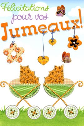CARNET NAISSANCE JUMEAUX