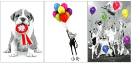 CARNET ANNIVERSAIRE ENFANTS
