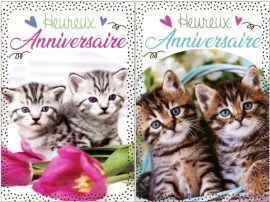 CARNET ANNIVERSAIRE ENFANTS