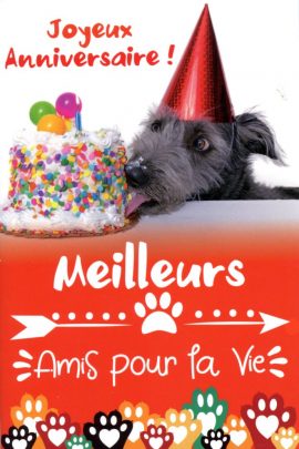 CARNET ANNIVERSAIRE ADOS