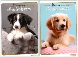 CARNET ANNIVERSAIRE ADOS