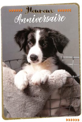 CARNET ANNIVERSAIRE ADOS