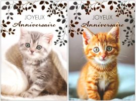 CARNET ANNIVERSAIRE ADOS