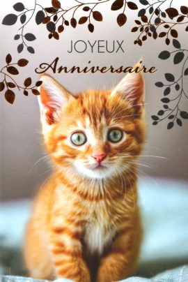 CARNET ANNIVERSAIRE ADOS