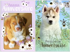 CARNET ANNIVERSAIRE ADOS