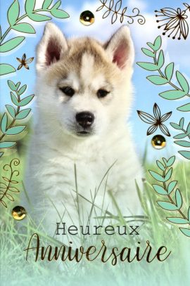 CARNET ANNIVERSAIRE ADOS