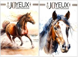 CARNET ANNIVERSAIRE ADOS