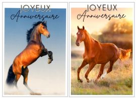 CARNET ANNIVERSAIRE ADOS