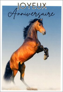 CARNET ANNIVERSAIRE ADOS