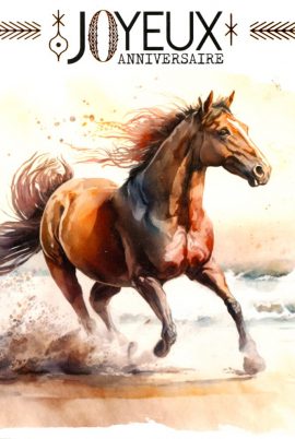 CARNET ANNIVERSAIRE ADOS