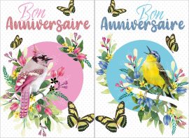 CARNET ANNIVERSAIRE ADOS