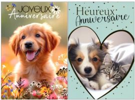 CARNET ANNIVERSAIRE ADOS